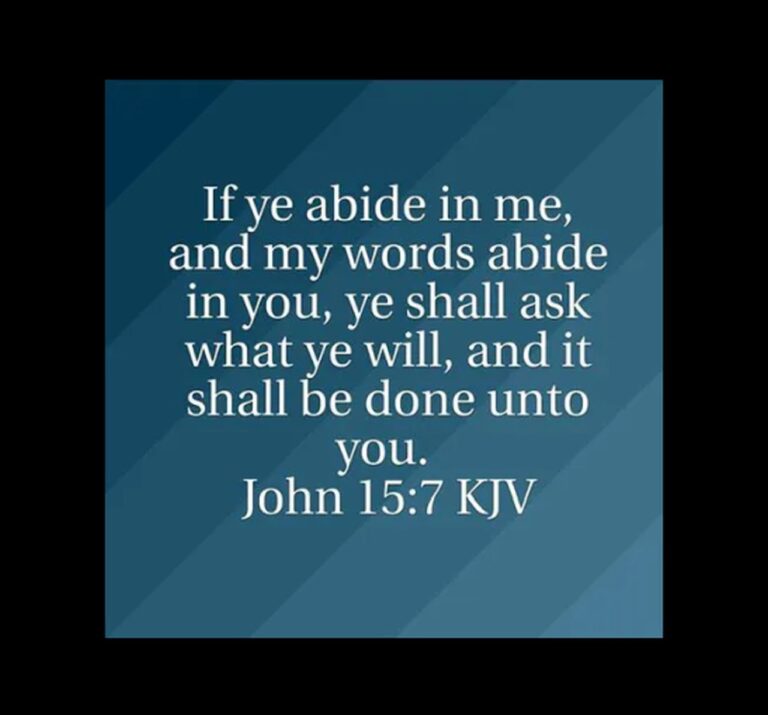 abide jn 15-7