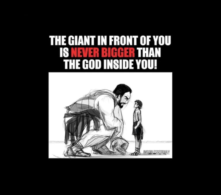 david and goliath11