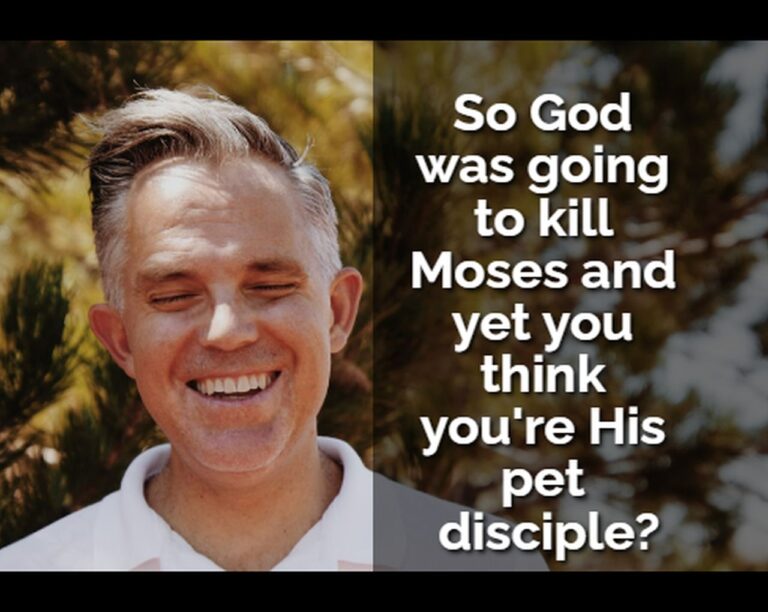 pet disciple2