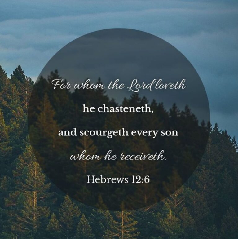 heb 12-6 chasten