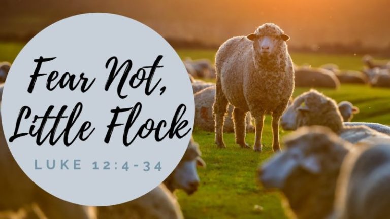 lk 12-32 fear not little flock