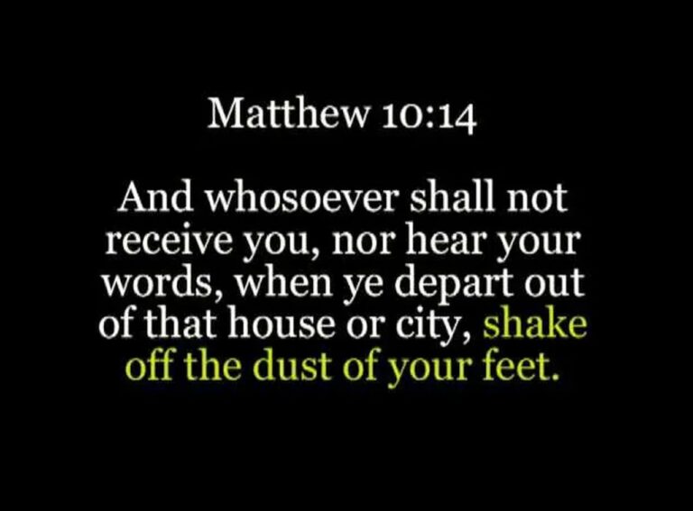 matt 10-14b