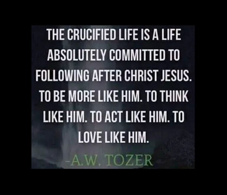 the daily cross tozer