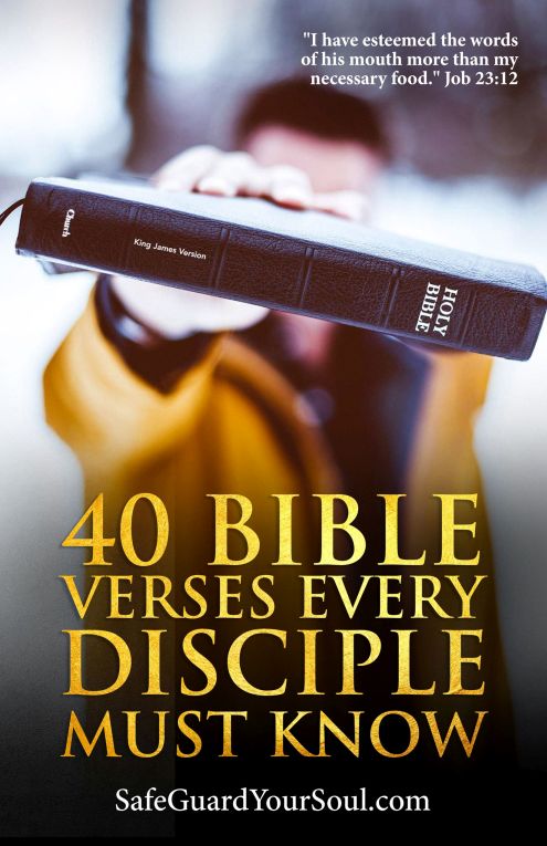 40 bible verses