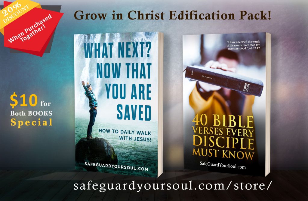 Bible Literacy Series - Todd Tomasella | SafeGuardYourSoul