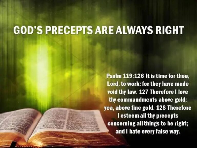 god's precepts