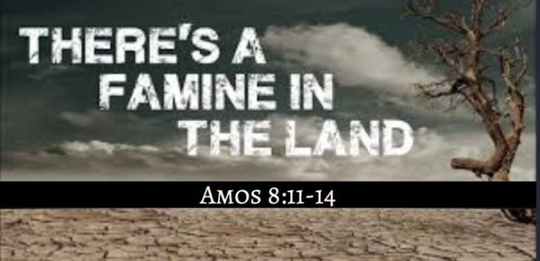 amos 8-11