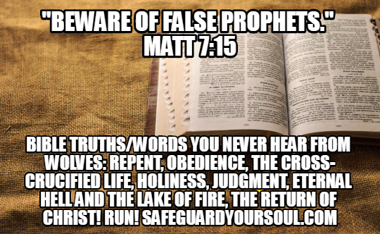 false prophets bible verse
