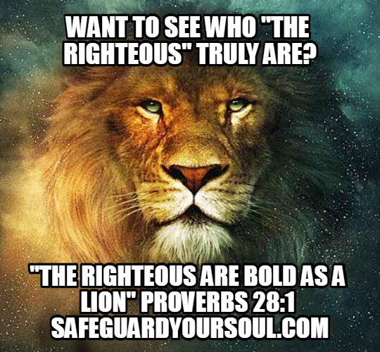 bold-vs-brave-safeguardyoursoul