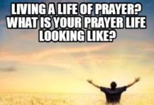 Fruit Abounding To Your Account Divine Incentive Video Todd