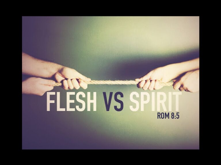 flesh vs spirit rom 8-5