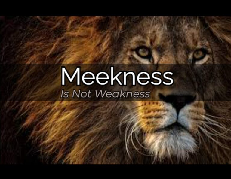 meekness is not weakness