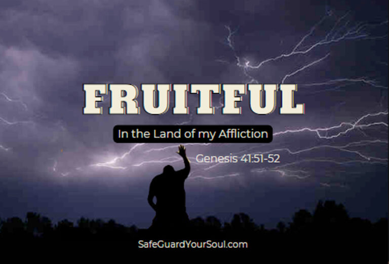 fruitful in the land of my affliction11