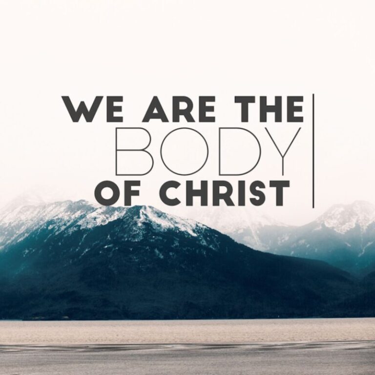 we are the body of Christ