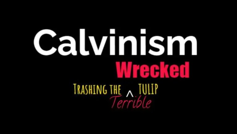 calvinism wrecked tulip1