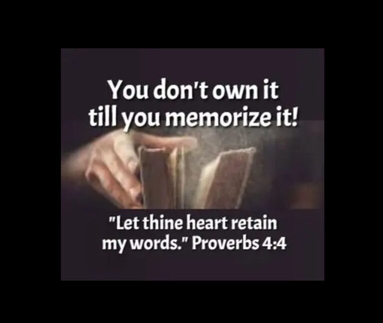 scripture memory004