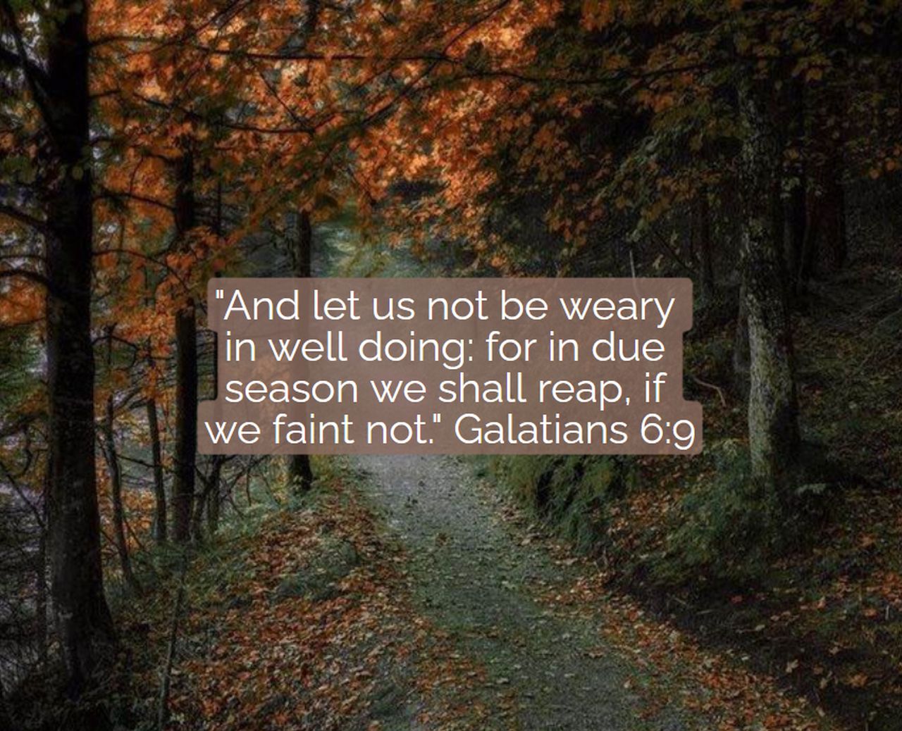 “In Due Season We Shall Reap, If We Faint Not” [podcast]