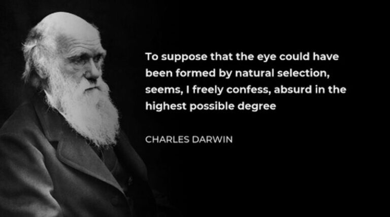 darwin001