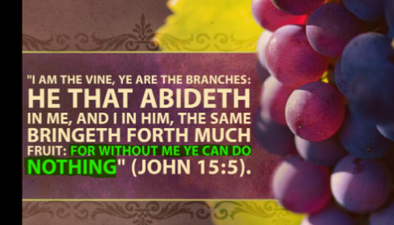 jn 15-5 fruit11