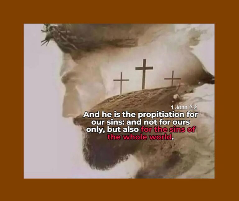 jesus cross 1 jn 2-2 calvinism