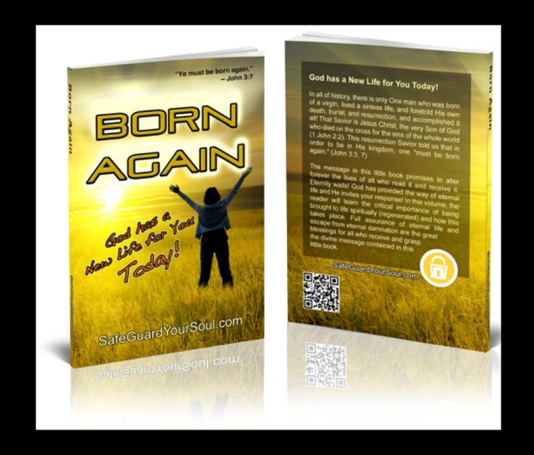 born again book promo11