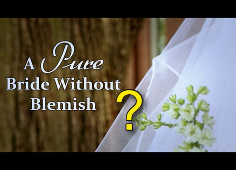 bride without blemish