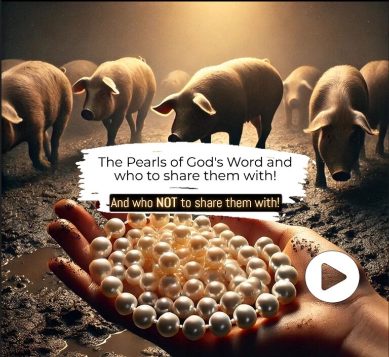 the pearls of Gods word swine dogs matt 7-6