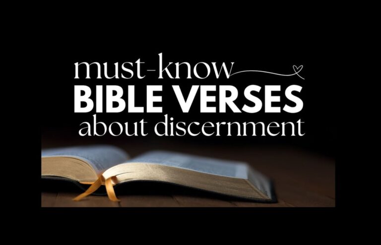 bible discern