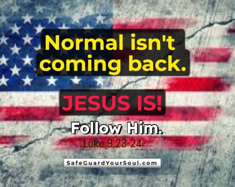 normal jesus return american flag