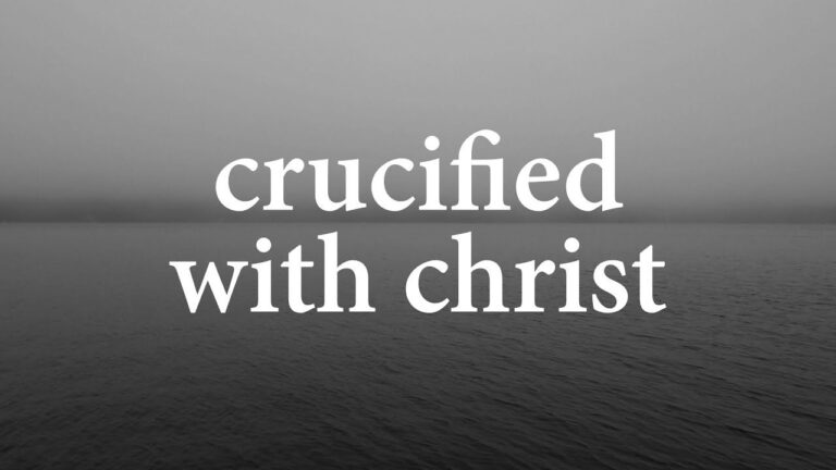 daily cross005d
