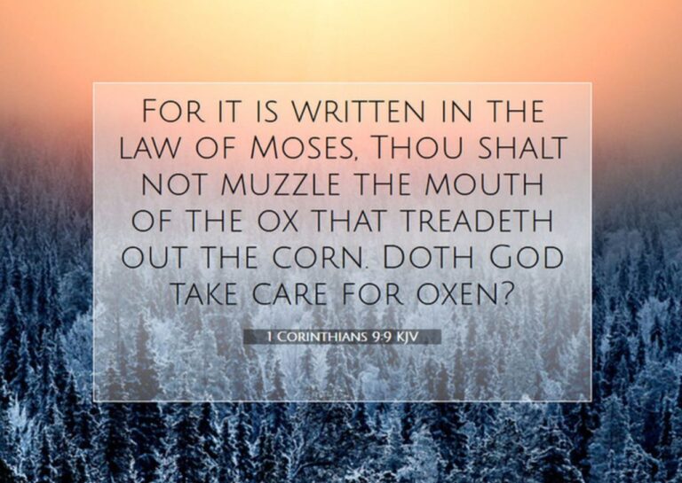 1 cor 9-9a