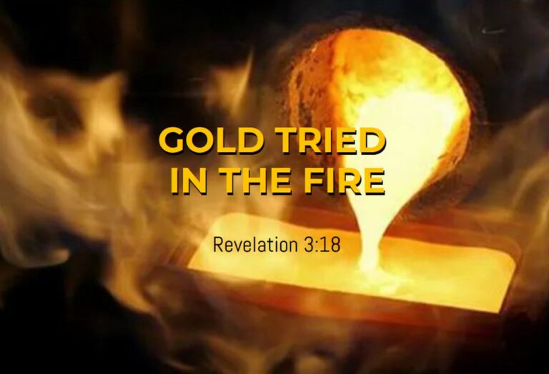 rev 3-18b