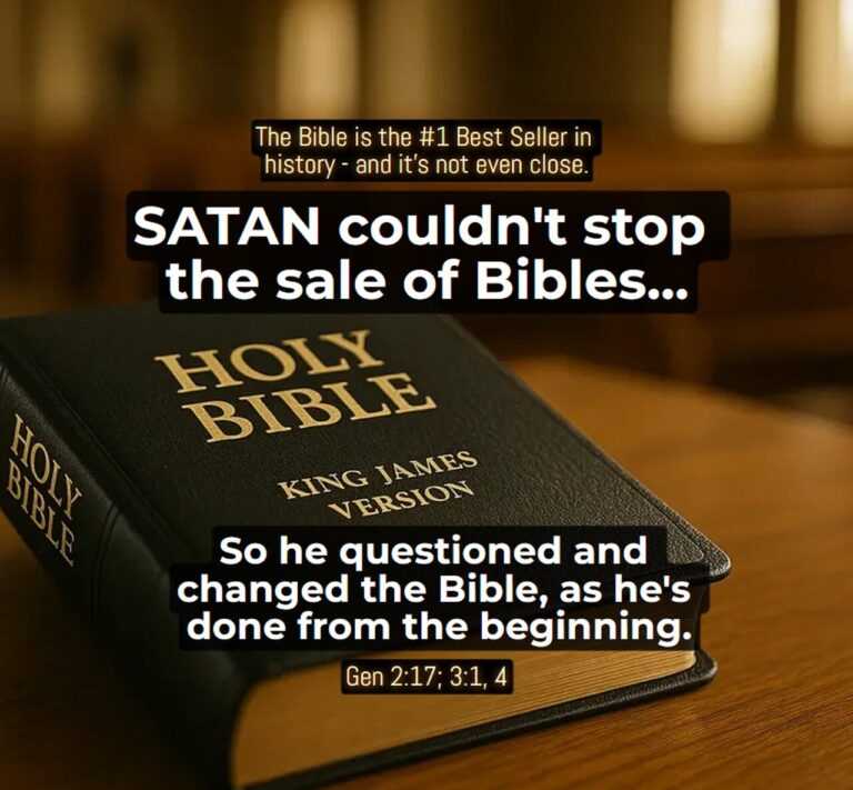 kjb bible best seller