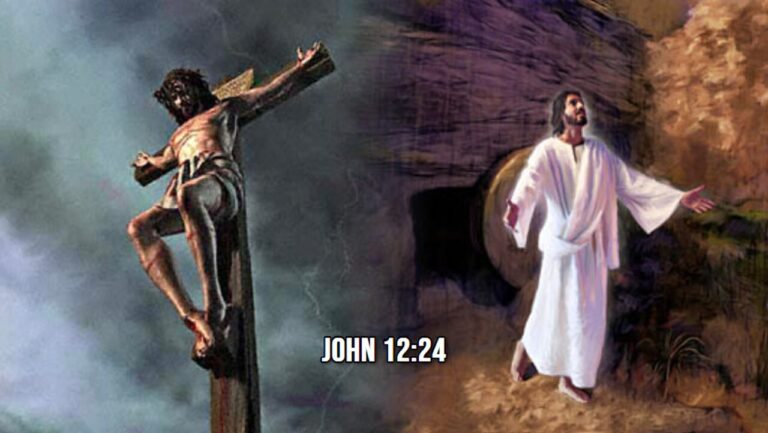 jn 12-24 cross economy