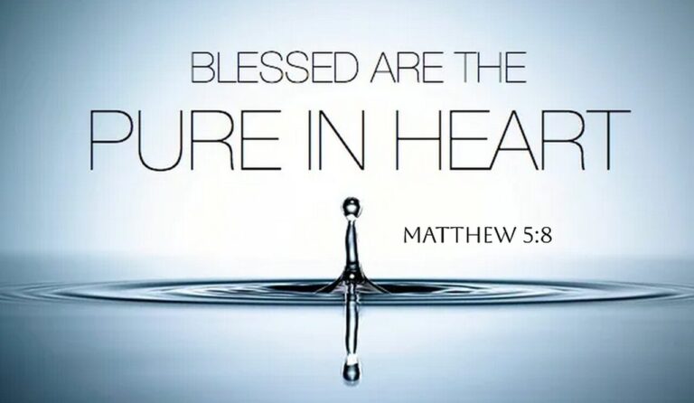 matt 5-8d
