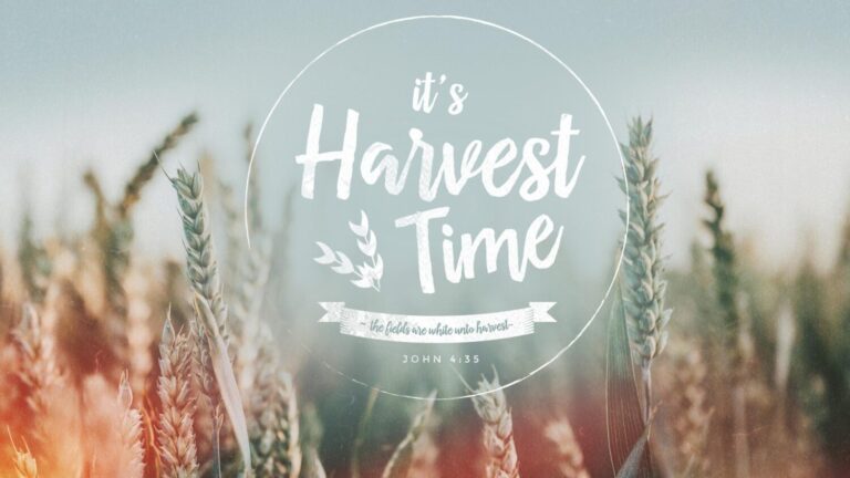 jn 4-34-38 evagelism white unto harvest great commission