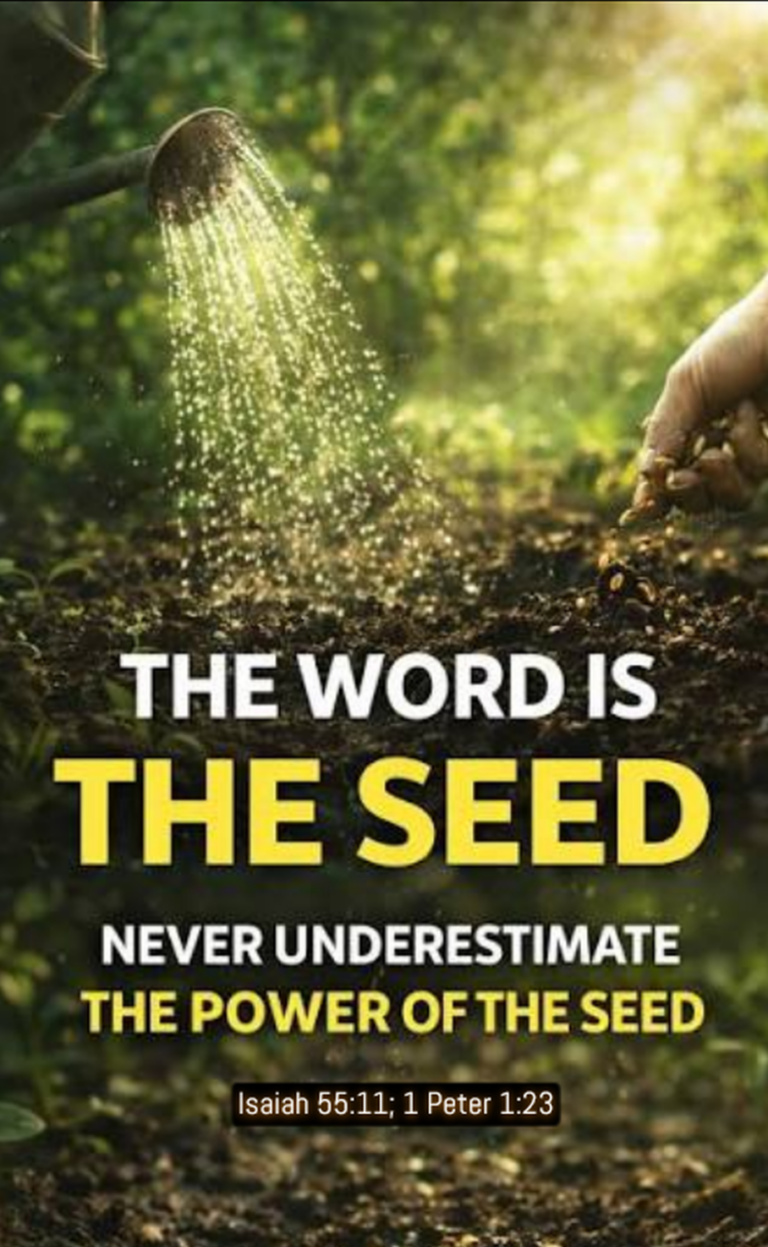 seed word is 55-11